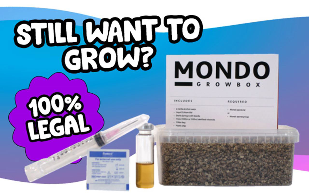 legales-mushroom-growkit