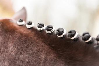 Lincoln Diamant Vlecht Elastieken 5st. --- Bling je vlechten op met deze vlechtbandjes met diamantjes.