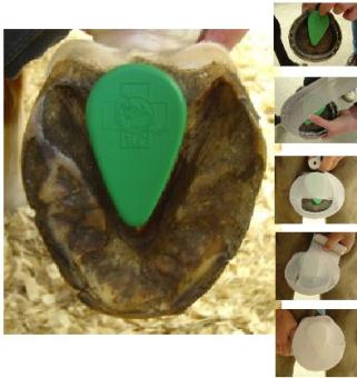 Equilife Frog Supports 2 stuks -- 1e hulp bij hoefbevangenheid.