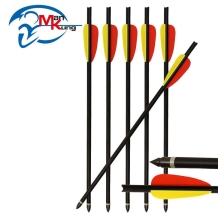 6 Kruisboog pijlen aluminium 20 inch