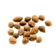 Ololiuhqui (Rivea corymbosa) 20 zaden