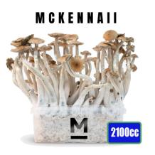 McKennaii XXL - 2100cc Paddo kweekset