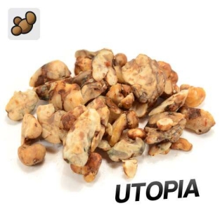 Psilocybe Utopia - Magic Truffles