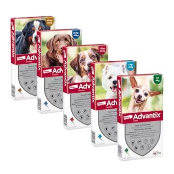 Advantix Hond. --- Tegen vlooien, teken, zandvliegen en muggen bij honden.