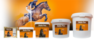 NAF Biotine Plus -- Hoogwaardige ingrediënten, rijk aan methionine, MSM, zink en calcium