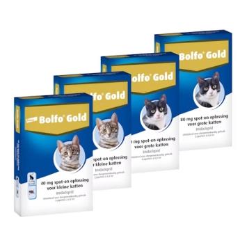 Bolfo Gold Kat -- Anti-vlooienmiddel in spot-on, voor kleine & grote katten, in 2 & 4 pipetten.
