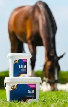 Cavalor Calm. --- Heeft een rustgevende, ontspannende werking op nerveuze (jonge) paarden.