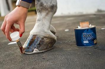 Cavalor Podoguard. --- Combinatie van 2 oliën voor optimale groei, ontwikkeling en kwaliteit.