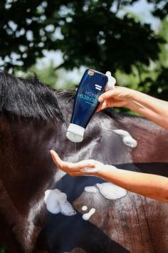 Cavalor Refresh Wash Horse 500ml. --- Shampoo a pH neutro con eucalipto per cavalli.