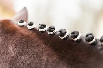 Lincoln Diamant Vlecht Elastieken 5st. --- Bling je vlechten op met deze vlechtbandjes met diamantjes.