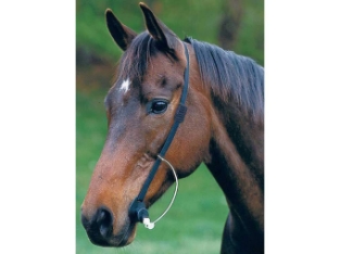 VSM Ltd. Easy Wormer pour chevaux --- Vermifugez facilement votre cheval/poney ou administrez-lui des médicaments.
