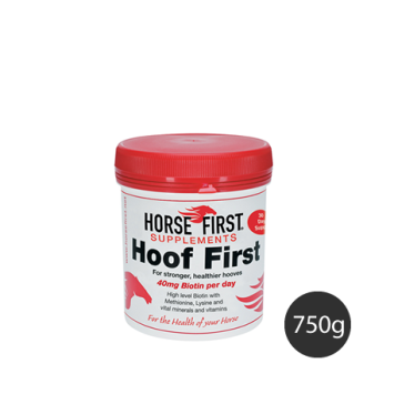 Horse First Hoof First. --- Combats problems such as thin soles, cracked, broken or weak hooves