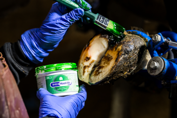 Intra Hoof-Fit gel 330 ml. -- Uiterst effectief bij klauwbehandeling van rundvee en schapen.