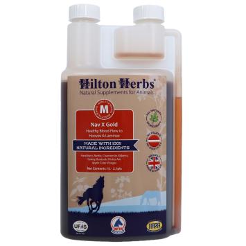 Hilton Herbs Lam X Gold. -- (voorheen Nav X Gold) Ter ondersteuning van de hoef en bevordering van de doorbloeding.